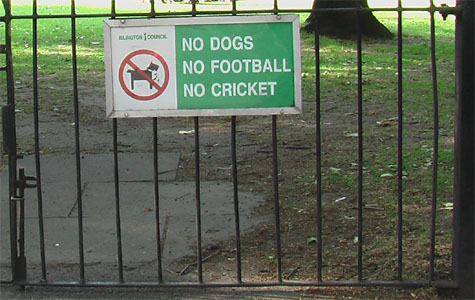 Cricket absolut forbudt!